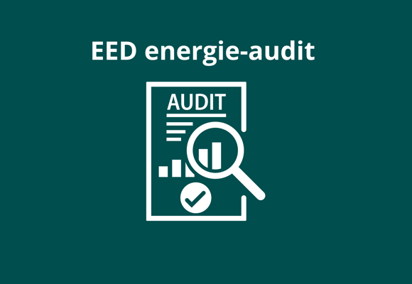 EED Energie Audit 2024